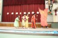 Thumbs/tn_IMG_7898.jpg