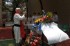 Thumbs/tn_C029.jpg