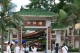 Thumbs/tn_IMG_0171.jpg