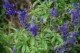 Thumbs/tn_DSC_0108.jpg