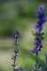 Thumbs/tn_DSC_0109.jpg