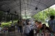 Thumbs/tn_IMG_2022.jpg
