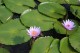 Thumbs/tn_IMG_2232.jpg
