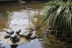 Thumbs/tn_IMG_2235.jpg
