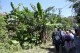 Thumbs/tn_IMG_0017.jpg