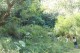 Thumbs/tn_IMG_3404.jpg