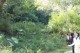 Thumbs/tn_IMG_3405.jpg