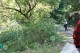 Thumbs/tn_IMG_3406.jpg