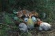 Thumbs/tn_IMG_3412.jpg