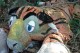 Thumbs/tn_IMG_3413.jpg