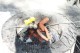Thumbs/tn_IMG_3444.jpg