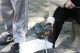 Thumbs/tn_IMG_3446.jpg